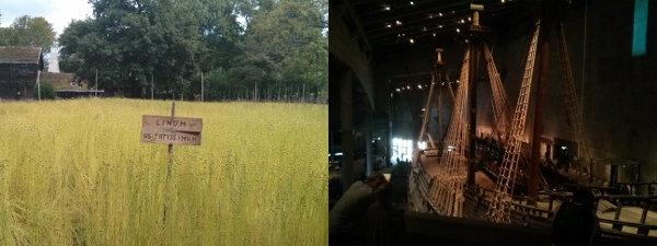 Skansen und Vasa